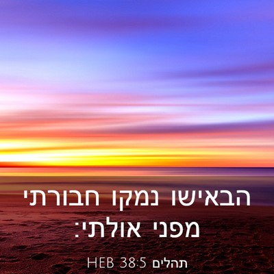 Picture 03 - תהלים 38:5 HEB - הבאישו נמקו חבורתי מפני - Bible Verse Picture