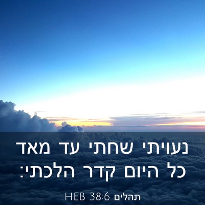 Picture 03 - תהלים 38:6 HEB - נעויתי שחתי עד מאד כל היום - Bible Verse Picture