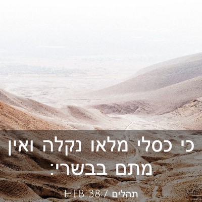 Picture 03 - תהלים 38:7 HEB - כי כסלי מלאו נקלה ואין מתם - Bible Verse Picture