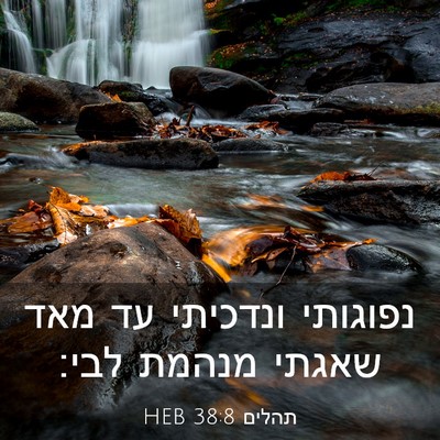 Picture 03 - תהלים 38:8 HEB - נפוגותי ונדכיתי עד מאד - Bible Verse Picture