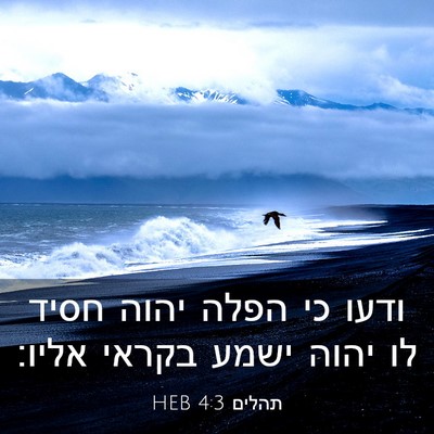 Picture 03 - תהלים 4:3 HEB - ודעו כי הפלה יהוה חסיד לו - Bible Verse Picture