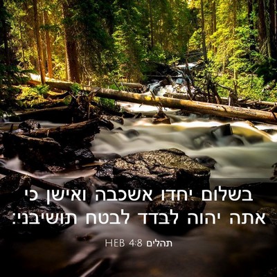 Picture 03 - תהלים 4:8 HEB - בשלום יחדו אשכבה ואישן כי - Bible Verse Picture
