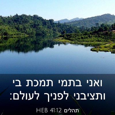 Picture 03 - תהלים 41:12 HEB - ואני בתמי תמכת בי ותציבני - Bible Verse Picture