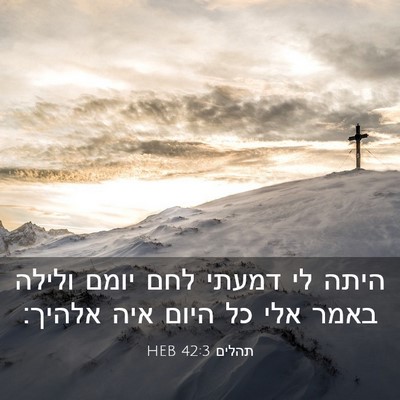 Picture 03 - תהלים 42:3 HEB - היתה לי דמעתי לחם יומם - Bible Verse Picture