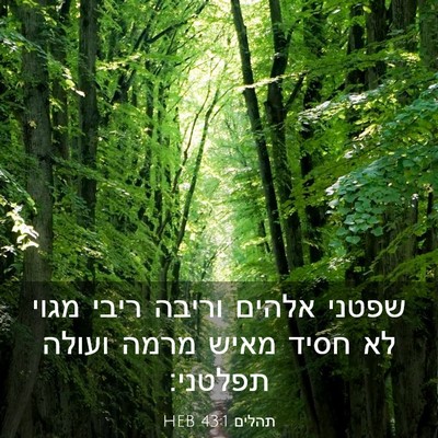 Picture 03 - תהלים 43:1 HEB - שפטני אלהים וריבה ריבי - Bible Verse Picture