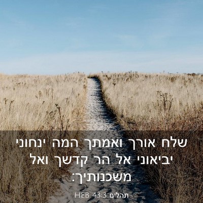 Picture 03 - תהלים 43:3 HEB - שלח אורך ואמתך המה ינחוני - Bible Verse Picture