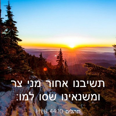 Picture 03 - תהלים 44:10 HEB - תשיבנו אחור מני צר - Bible Verse Picture