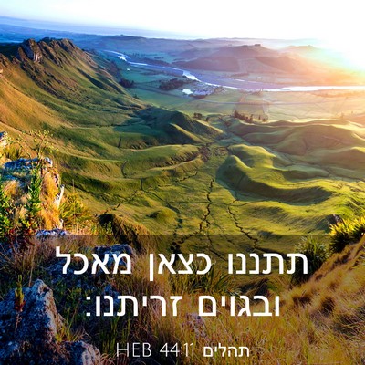 Picture 03 - תהלים 44:11 HEB - תתננו כצאן מאכל ובגוים - Bible Verse Picture