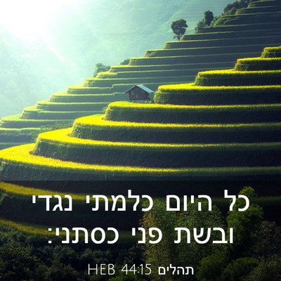 Picture 03 - תהלים 44:15 HEB - כל היום כלמתי נגדי ובשת פני - Bible Verse Picture