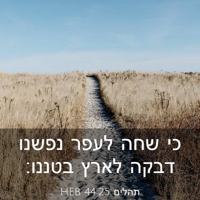 Picture 03 - תהלים 44:25 HEB - כי שחה לעפר נפשנו דבקה לארץ - Bible Verse Picture