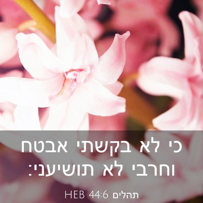 Picture 03 - תהלים 44:6 HEB - כי לא בקשתי אבטח וחרבי לא - Bible Verse Picture