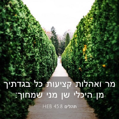 Picture 03 - תהלים 45:8 HEB - מר ואהלות קציעות כל בגדתיך - Bible Verse Picture