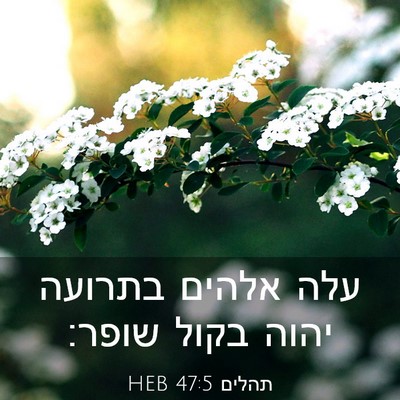 Picture 03 - תהלים 47:5 HEB - עלה אלהים בתרועה יהוה בקול - Bible Verse Picture