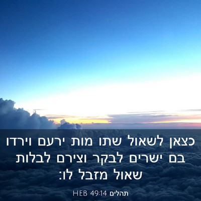 Picture 03 - תהלים 49:14 HEB - כצאן לשאול שתו מות ירעם - Bible Verse Picture