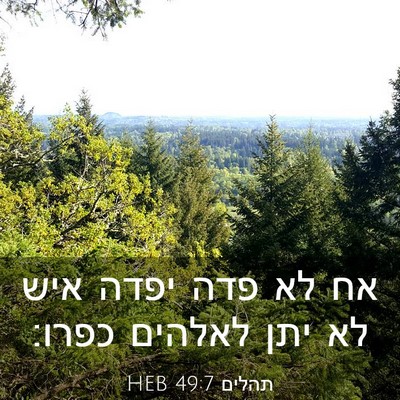 Picture 03 - תהלים 49:7 HEB - אח לא פדה יפדה איש לא יתן - Bible Verse Picture
