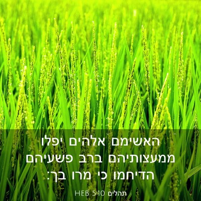 Picture 03 - תהלים 5:10 HEB - האשימם אלהים יפלו - Bible Verse Picture