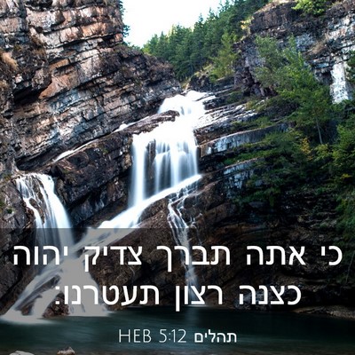 Picture 03 - תהלים 5:12 HEB - כי אתה תברך צדיק יהוה כצנה - Bible Verse Picture