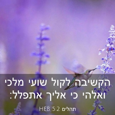 Picture 03 - תהלים 5:2 HEB - הקשיבה לקול שועי מלכי - Bible Verse Picture