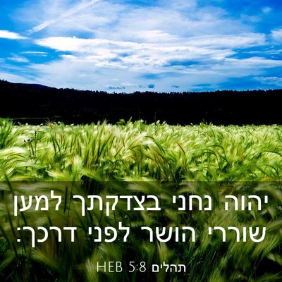 Picture 03 - תהלים 5:8 HEB - יהוה נחני בצדקתך למען - Bible Verse Picture