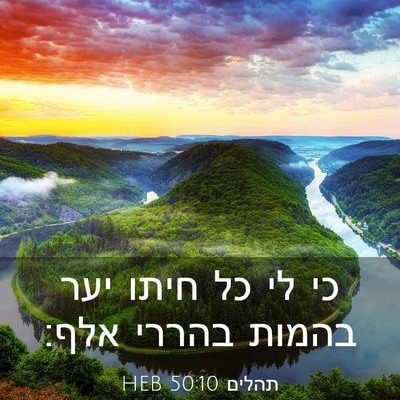 Picture 03 - תהלים 50:10 HEB - כי לי כל חיתו יער בהמות - Bible Verse Picture