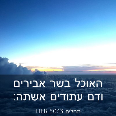 Picture 03 - תהלים 50:13 HEB - האוכל בשר אבירים ודם - Bible Verse Picture