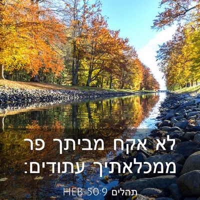 Picture 03 - תהלים 50:9 HEB - לא אקח מביתך פר ממכלאתיך - Bible Verse Picture