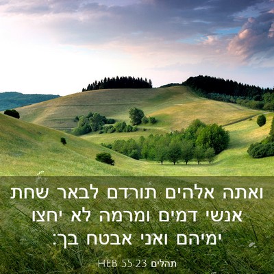 Picture 03 - תהלים 55:23 HEB - ואתה אלהים תורדם לבאר שחת - Bible Verse Picture