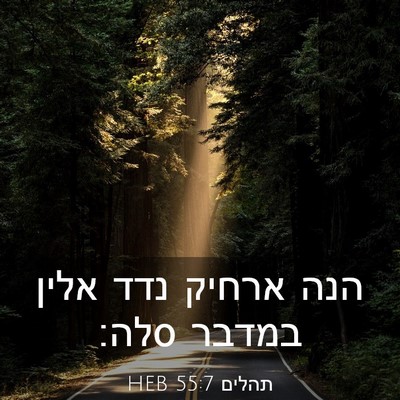 Picture 03 - תהלים 55:7 HEB - הנה ארחיק נדד אלין במדבר - Bible Verse Picture