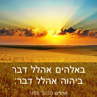 Picture 03 - תהלים 56:10 HEB - באלהים אהלל דבר ביהוה אהלל - Bible Verse Picture