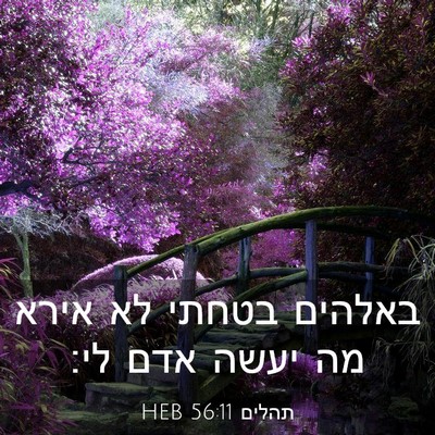 Picture 03 - תהלים 56:11 HEB - באלהים בטחתי לא אירא מה - Bible Verse Picture