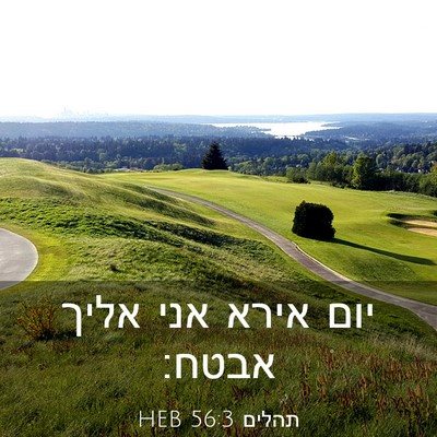Picture 03 - תהלים 56:3 HEB - יום אירא אני אליך - Bible Verse Picture