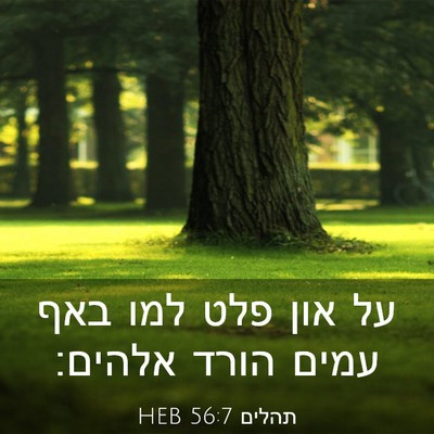 Picture 03 - תהלים 56:7 HEB - על און פלט למו באף עמים - Bible Verse Picture
