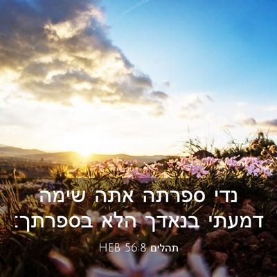 Picture 03 - תהלים 56:8 HEB - נדי ספרתה אתה שימה דמעתי - Bible Verse Picture