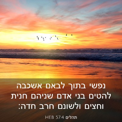 Picture 03 - תהלים 57:4 HEB - נפשי בתוך לבאם אשכבה להטים - Bible Verse Picture