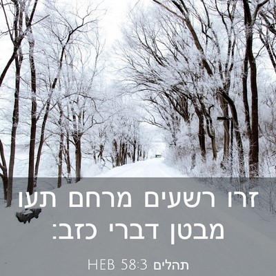 Picture 03 - תהלים 58:3 HEB - זרו רשעים מרחם תעו מבטן - Bible Verse Picture