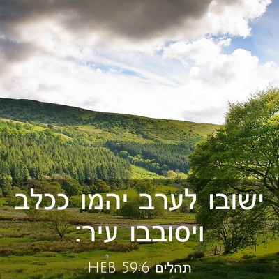 Picture 03 - תהלים 59:6 HEB - ישובו לערב יהמו ככלב - Bible Verse Picture