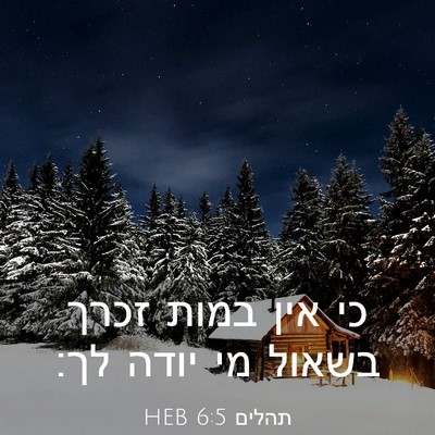 Picture 03 - תהלים 6:5 HEB - כי אין במות זכרך בשאול מי - Bible Verse Picture