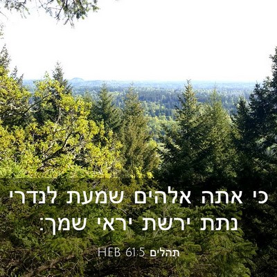Picture 03 - תהלים 61:5 HEB - כי אתה אלהים שמעת לנדרי נתת - Bible Verse Picture