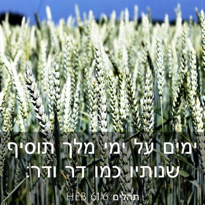 Picture 03 - תהלים 61:6 HEB - ימים על ימי מלך תוסיף - Bible Verse Picture