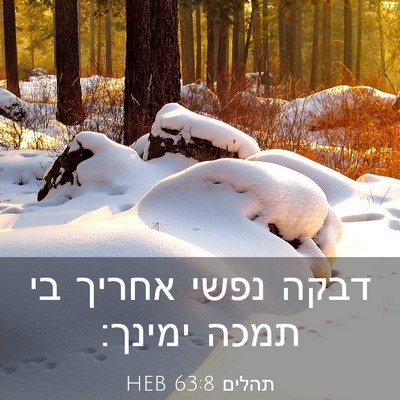 Picture 03 - תהלים 63:8 HEB - דבקה נפשי אחריך בי תמכה - Bible Verse Picture