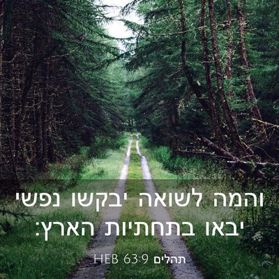 Picture 03 - תהלים 63:9 HEB - והמה לשואה יבקשו נפשי יבאו - Bible Verse Picture