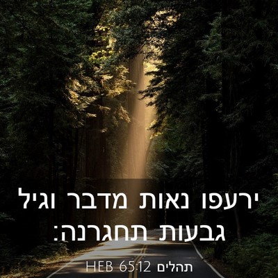 Picture 03 - תהלים 65:12 HEB - ירעפו נאות מדבר וגיל גבעות - Bible Verse Picture