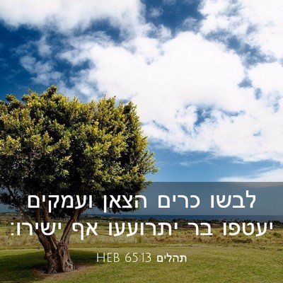Picture 03 - תהלים 65:13 HEB - לבשו כרים הצאן ועמקים - Bible Verse Picture