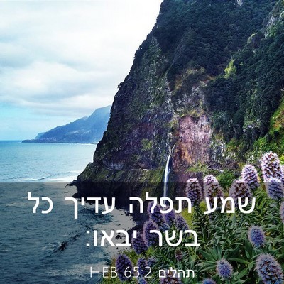 Picture 03 - תהלים 65:2 HEB - שמע תפלה עדיך כל בשר - Bible Verse Picture