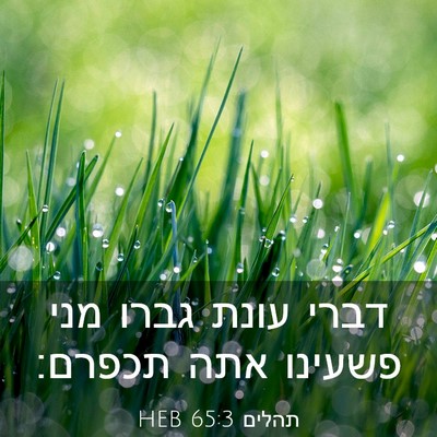 Picture 03 - תהלים 65:3 HEB - דברי עונת גברו מני פשעינו - Bible Verse Picture