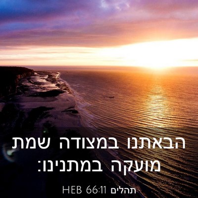 Picture 03 - תהלים 66:11 HEB - הבאתנו במצודה שמת מועקה - Bible Verse Picture