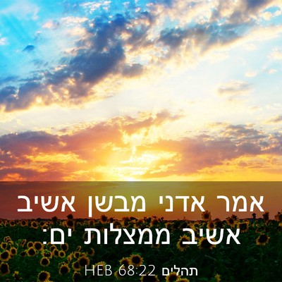Picture 03 - תהלים 68:22 HEB - אמר אדני מבשן אשיב אשיב - Bible Verse Picture