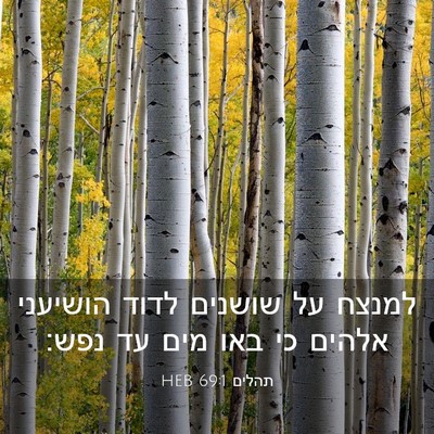 Picture 03 - תהלים 69:1 HEB - למנצח על שושנים לדוד - Bible Verse Picture