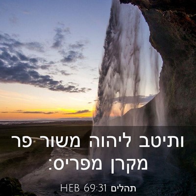 Picture 03 - תהלים 69:31 HEB - ותיטב ליהוה משור פר מקרן - Bible Verse Picture