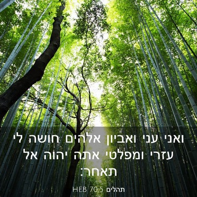 Picture 03 - תהלים 70:5 HEB - ואני עני ואביון אלהים חושה - Bible Verse Picture